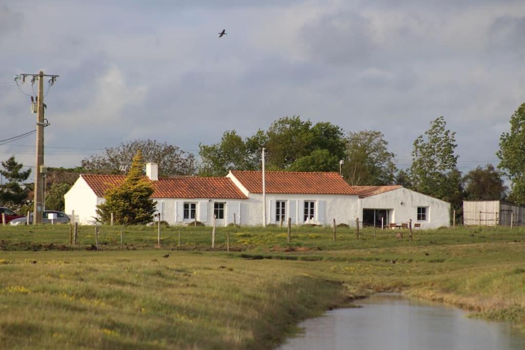Maison De Charme Au Coeur Des Marais Pour 6 Pers. *